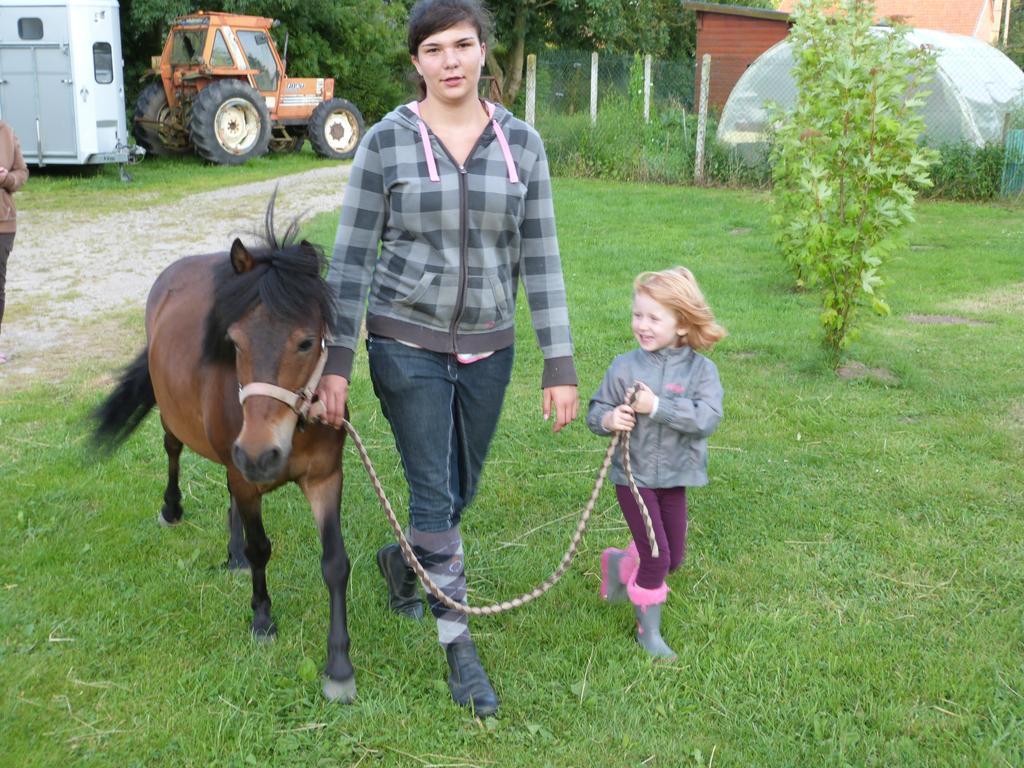 Gite Et Relais Equestre De Marie Tours-en-Vimeu Exterior photo