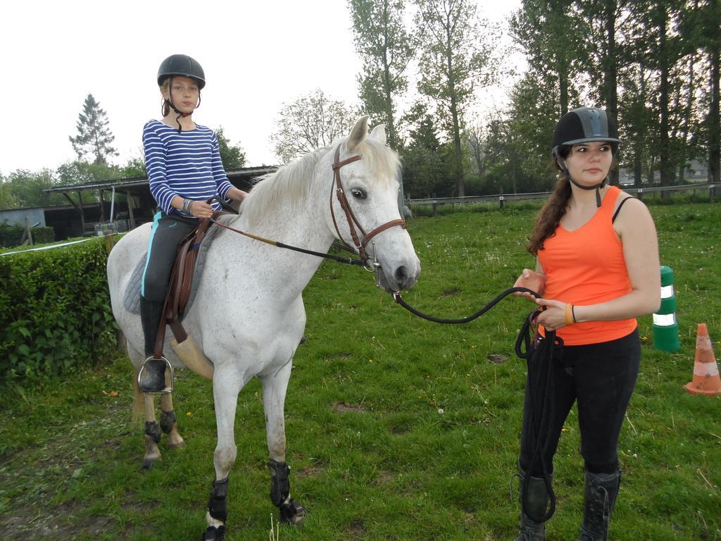 Gite Et Relais Equestre De Marie Tours-en-Vimeu Room photo
